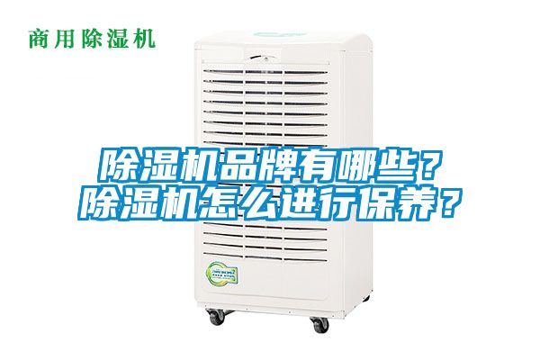 除濕機品牌有哪些？除濕機怎么進行保養(yǎng)？