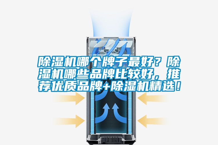 除濕機哪個牌子最好？除濕機哪些品牌比較好，推薦優(yōu)質(zhì)品牌+除濕機精選！