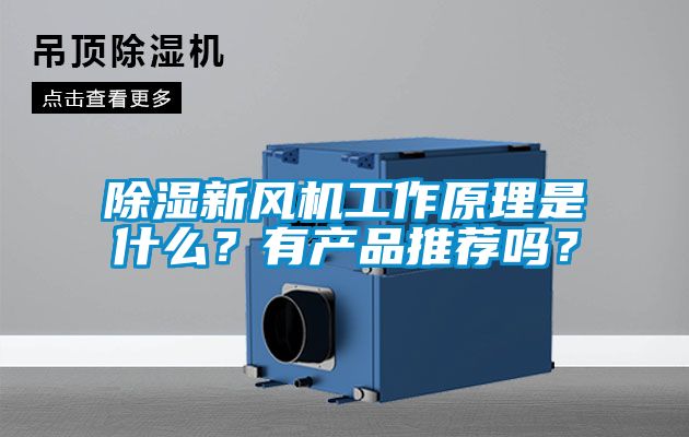 除濕新風機工作原理是什么？有產品推薦嗎？