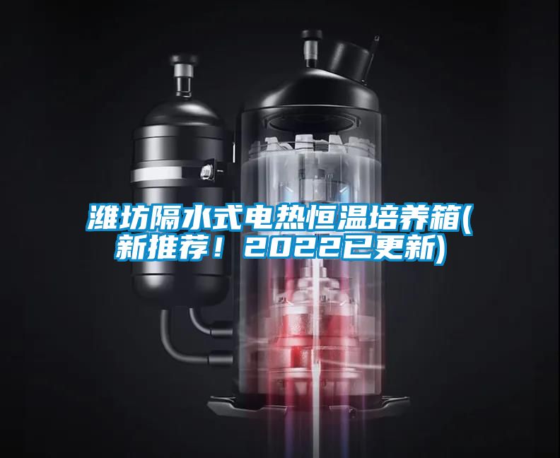 濰坊隔水式電熱恒溫培養(yǎng)箱(新推薦！2022已更新)