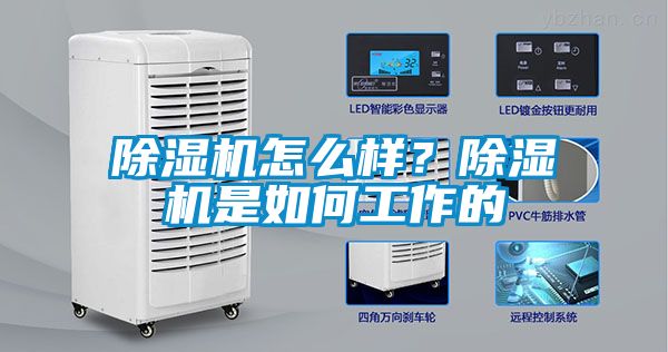 除濕機(jī)怎么樣？除濕機(jī)是如何工作的