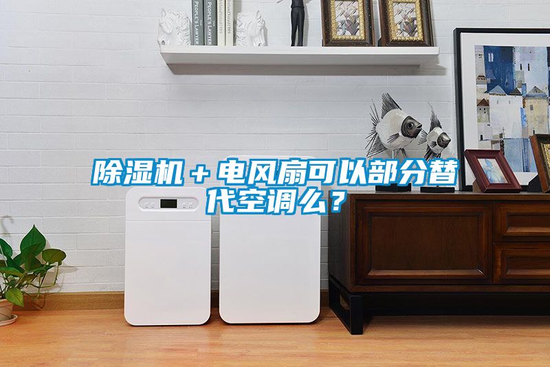 除濕機＋電風扇可以部分替代空調(diào)么？