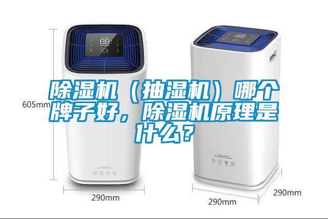 除濕機（抽濕機）哪個牌子好，除濕機原理是什么？