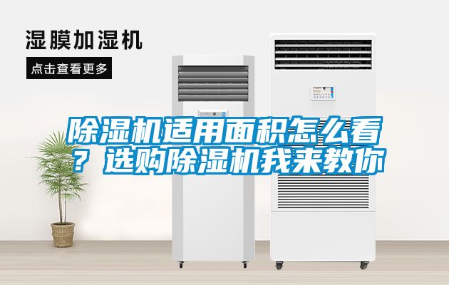 除濕機適用面積怎么看？選購除濕機我來教你