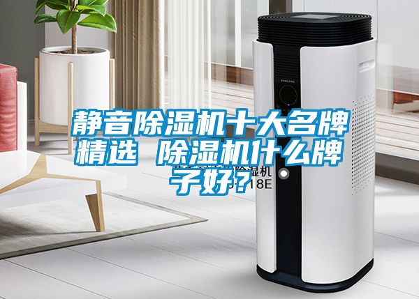 靜音除濕機十大名牌精選 除濕機什么牌子好？