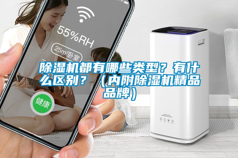 除濕機都有哪些類型？有什么區(qū)別？（內(nèi)附除濕機精品品牌）