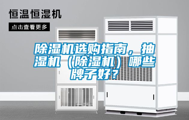 除濕機選購指南，抽濕機（除濕機）哪些牌子好？