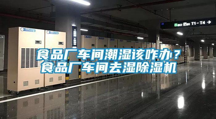 食品廠車間潮濕該咋辦？食品廠車間去濕除濕機